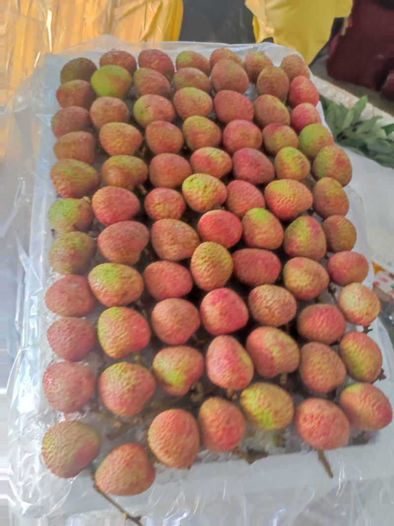 精品三月红荔枝，现摘现发，产地直发！