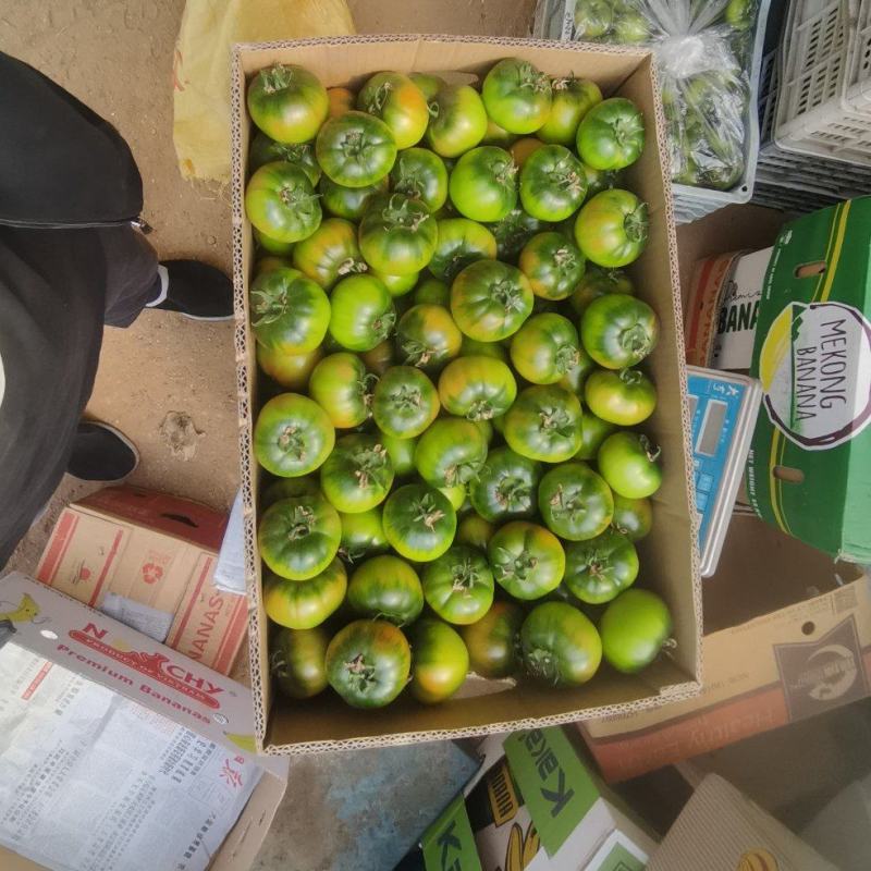 口感好品质佳价格美相中您就电我！
