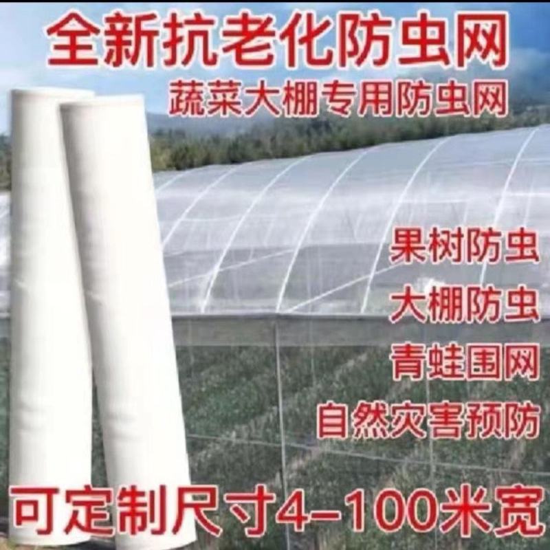 防虫网防蚊网蔬菜果树大棚专用加厚养鱼养殖网鱼苗网