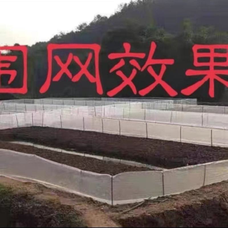 防虫网防蚊网蔬菜果树大棚专用加厚养鱼养殖网鱼苗网