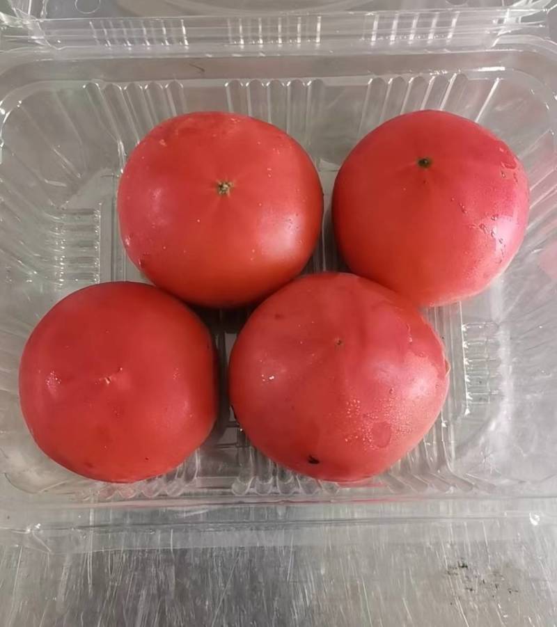 蔬菜礼包，崇明本地蔬菜，新鲜蔬菜上海蔬菜礼包