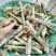 无毛高产甜象草，包邮，坏苗补发，早上砍，下午发货