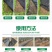 除草布批发农用抗老化耐用黑色果园果树大棚盖草灭草防草园艺