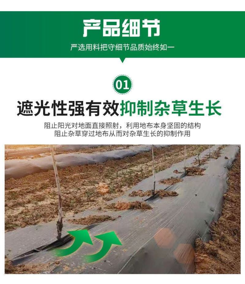 除草布批发农用抗老化耐用黑色果园果树大棚盖草灭草防草园艺