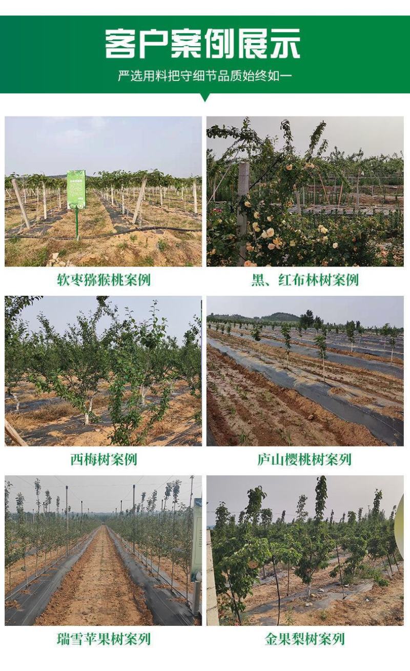 除草布批发农用抗老化耐用黑色果园果树大棚盖草灭草防草园艺