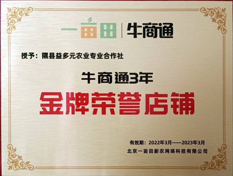 年货礼黄金蜜梨山西隰县蜜梨梨山西蜜梨隰县蜂蜜梨