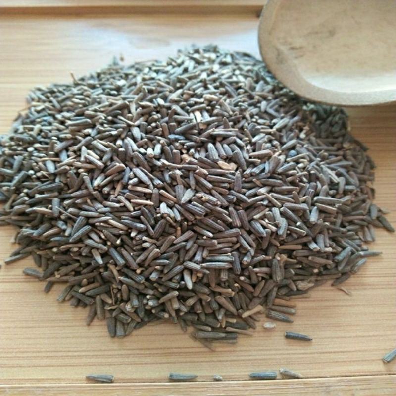 龙脷叶龙俐叶龙舌叶牛耳叶龙利叶