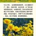 大花金鸡菊种子多年生宿根纯黄色菊花种籽四季播种耐旱