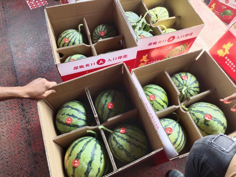 砀山县，精品美都大量上市了，口感好，皮溥糖份高货源充足。