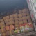 【长沙腊八豆】香辣开胃下饭菜湖南特产标品工厂直发