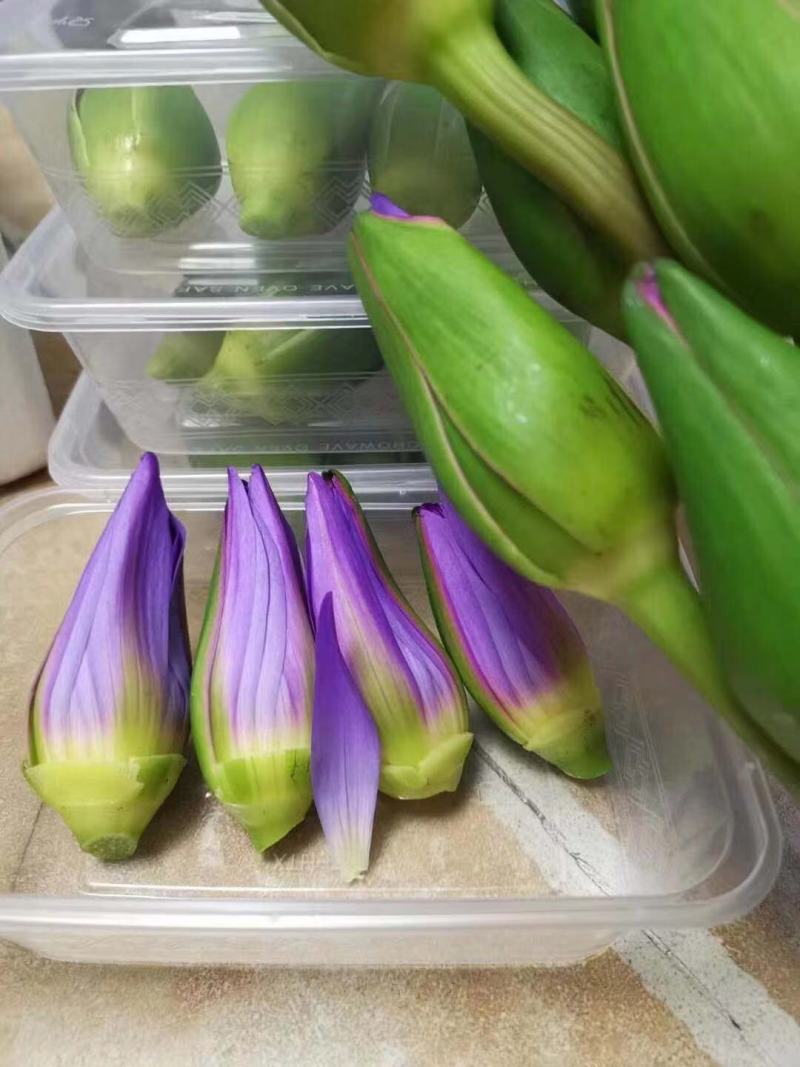 精品冰激罗卜