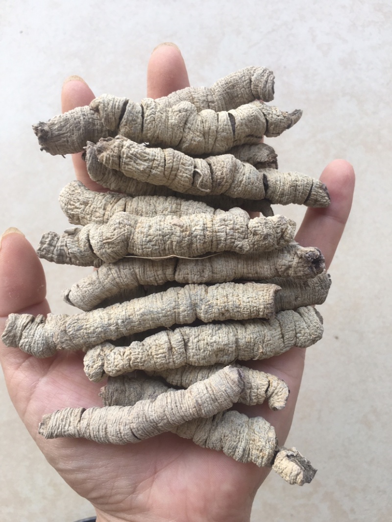 巴戟天大肉一手货源抽芯生晒中药材优质干货大量现货批发零售