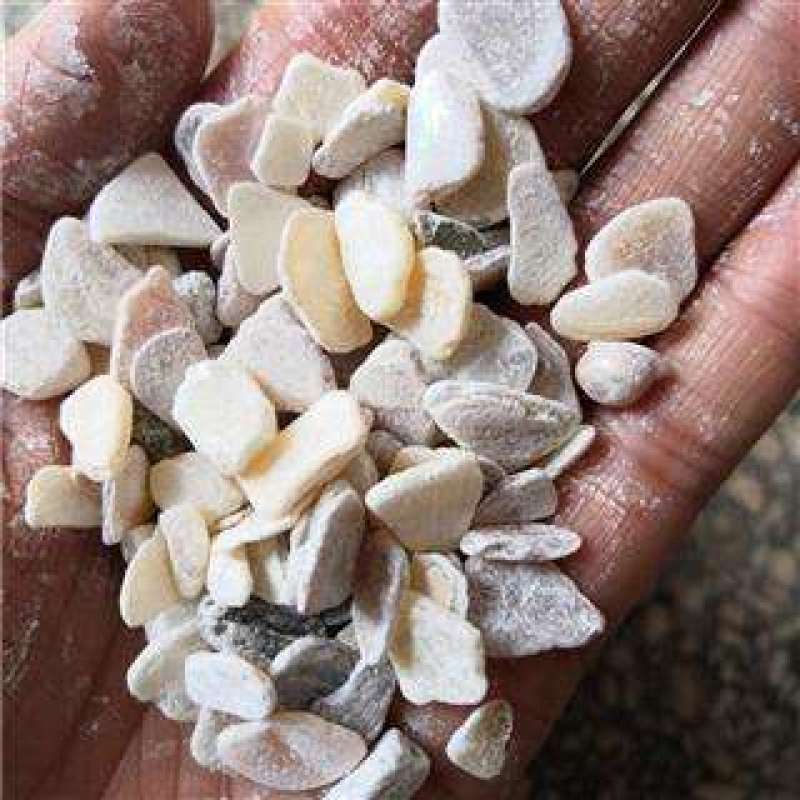 珍珠母，珍珠母粒，
