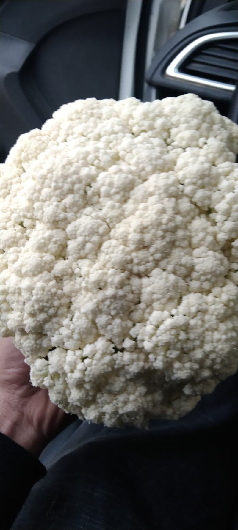 小米青梗有机花大量上市，保质保量，大量供货，提供各种包装