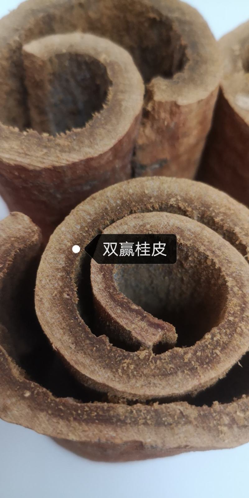 广西高山油桂桂皮肉桂品质保证对接全国各大商超