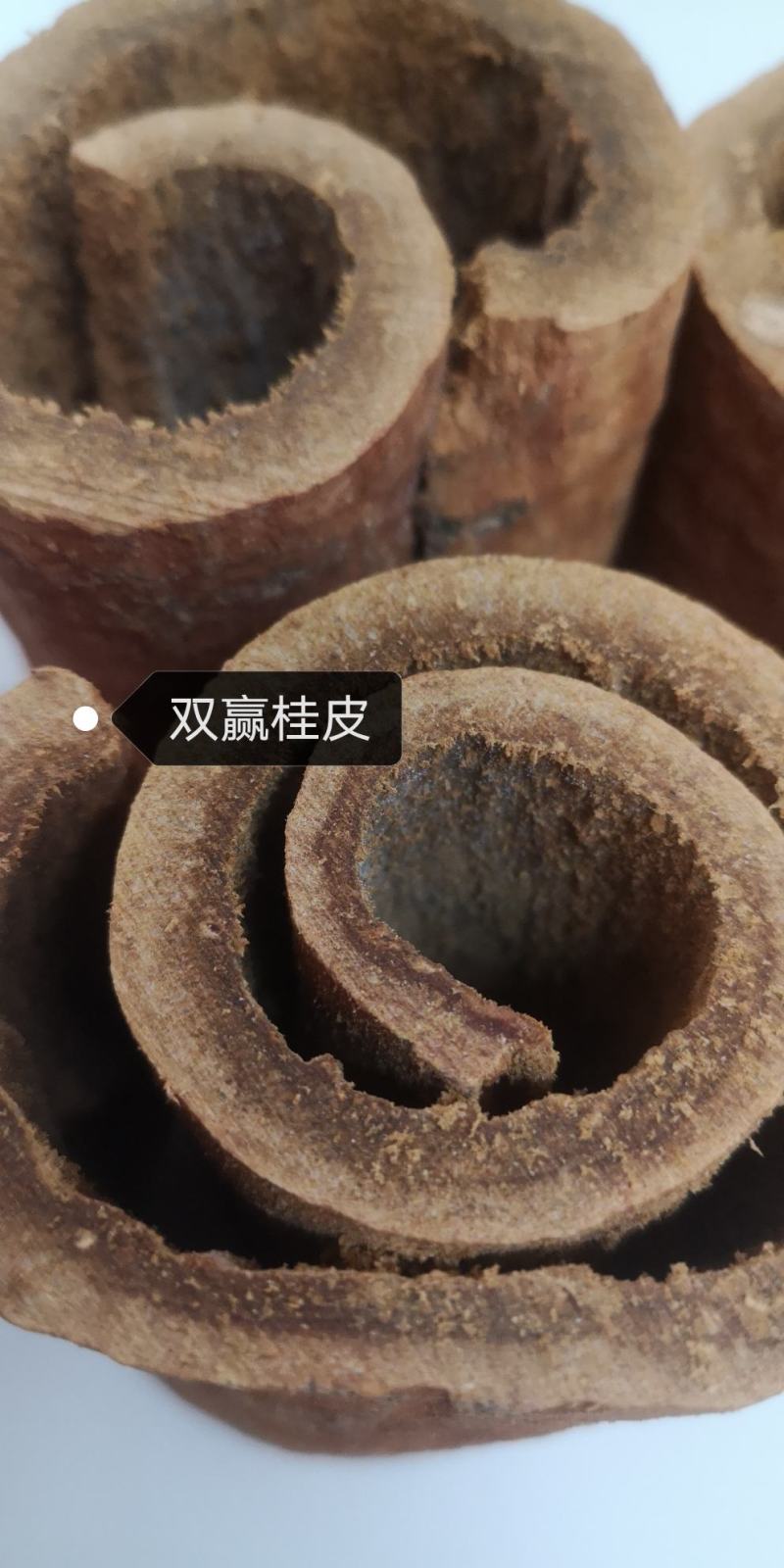 广西高山油桂桂皮肉桂品质保证对接全国各大商超