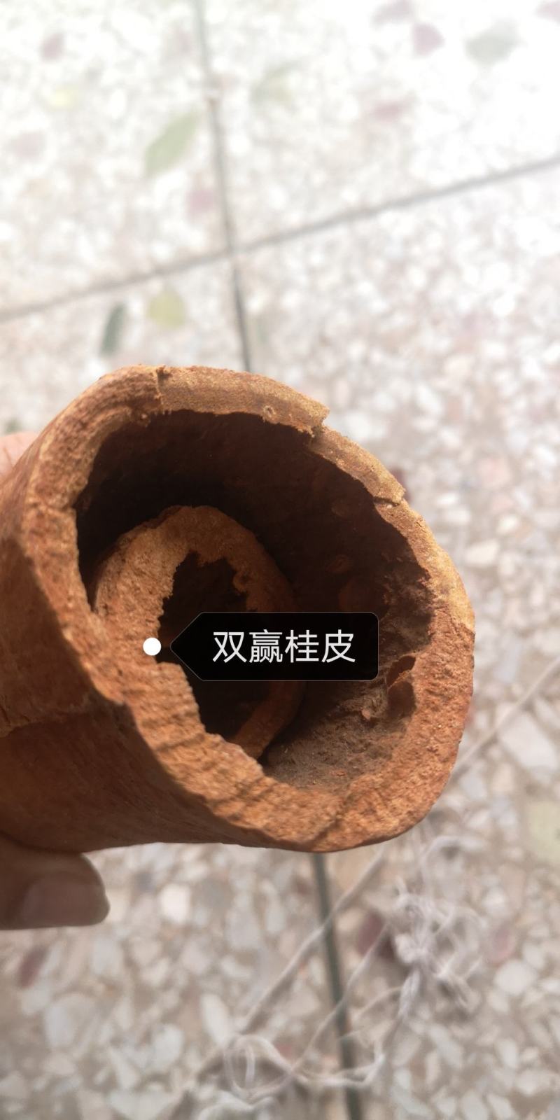 广西高山油桂桂皮肉桂品质保证对接全国各大商超