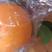 夏橙新鲜橙来自农民自种的，产地直销价9一10斤为—件包邮