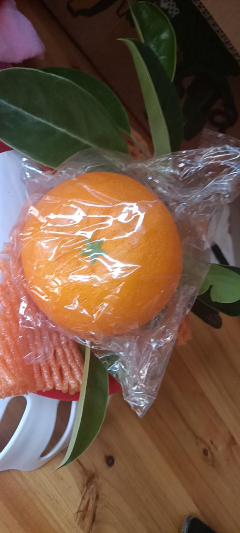 夏橙新鲜橙来自农民自种的，产地直销价9一10斤为—件包邮