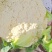 甘肃兰州高原夏菜即将上市