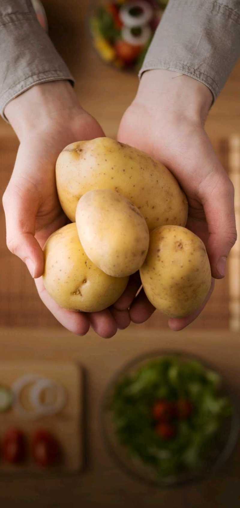 甘肃兰州高原夏菜即将上市