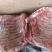羊排草原羔羊全排，肉质细腻，品质新鲜！适合烧烤，卤炖。