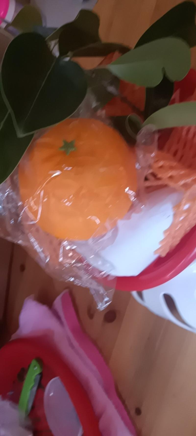 农民自种的血橙相似橙应季水果，新鲜5斤为—件包邮。
