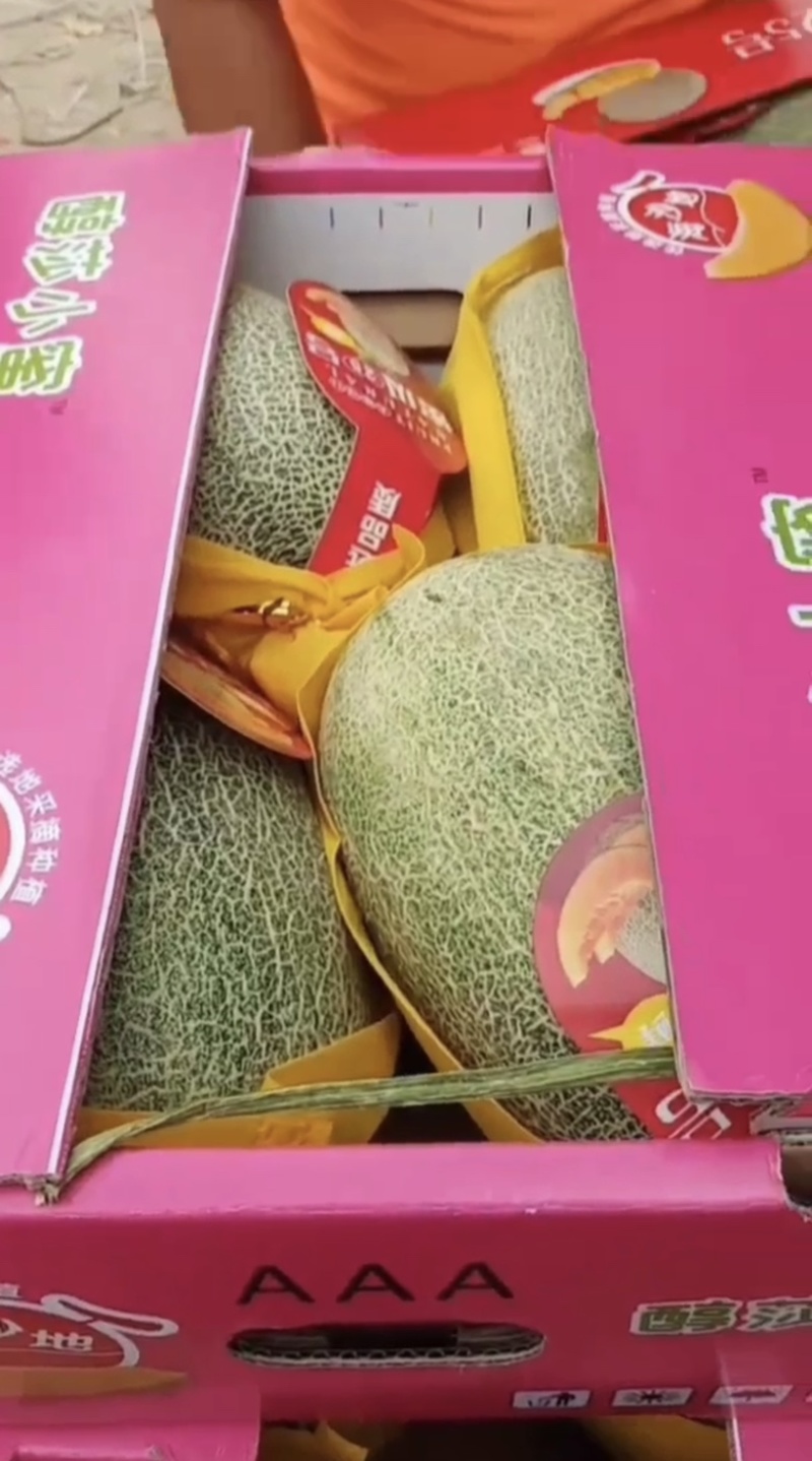 【海南】哈密瓜甜度高现摘现装保值保量全国发货