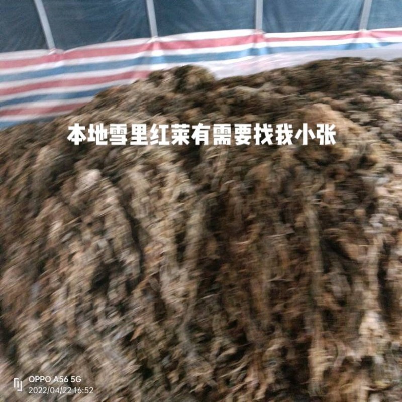 【梅干菜】精品梅干菜大量有货质量保证欢迎采购
