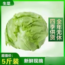 生菜汉堡球形生菜西生菜新鲜沙拉食材农家圆生菜农家种植