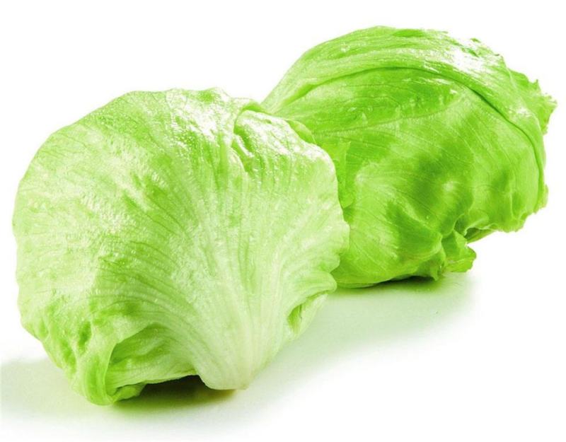 生菜汉堡球形生菜西生菜新鲜沙拉食材农家圆生菜农家种植