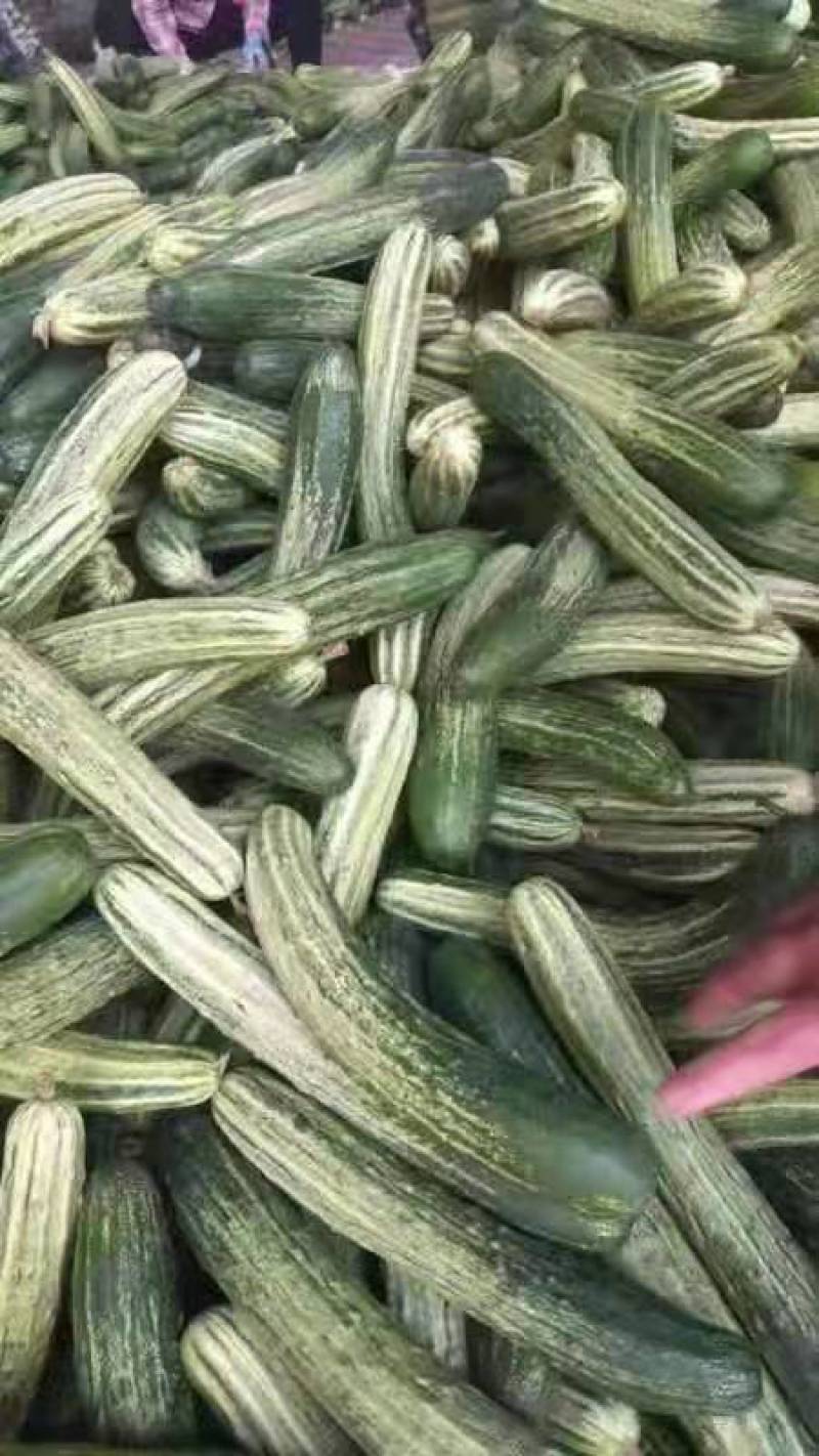 水果黄瓜