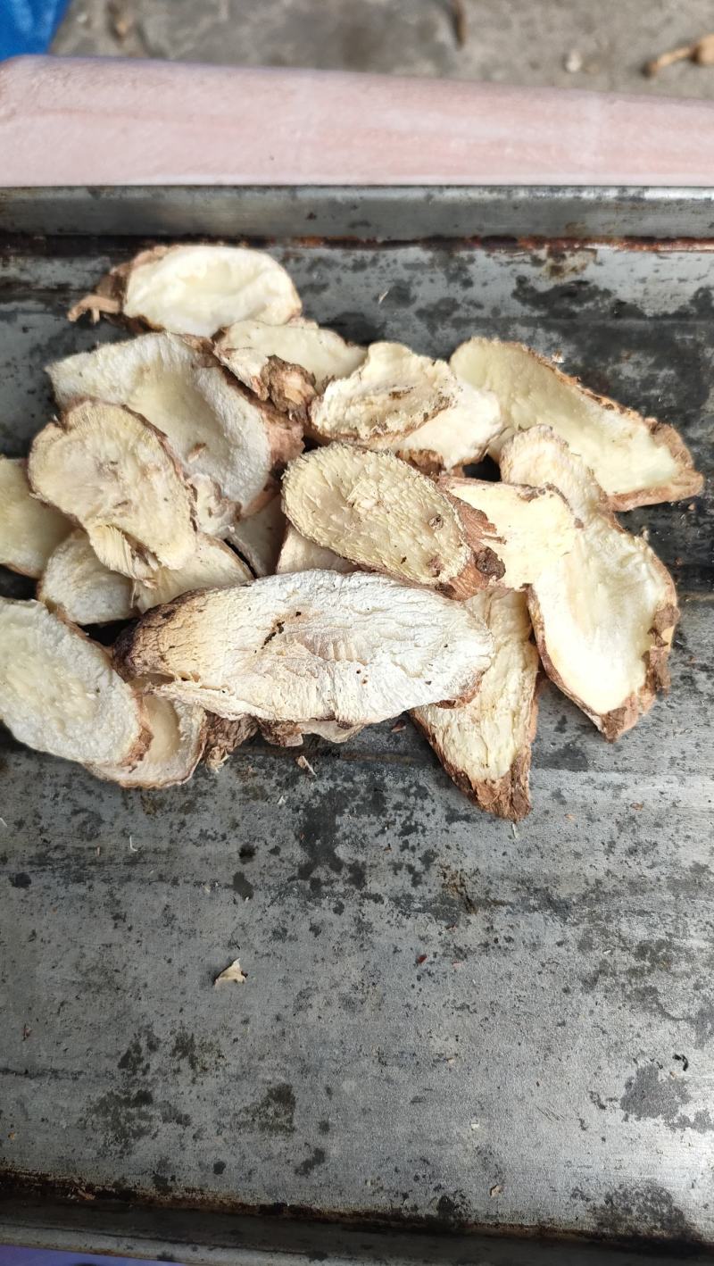 白粉藤白粉藤牛子头藤接骨藤白牵牛粉藤蛋粉藤薯