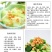 一手货源，新货小海米小海米，炒菜，做汤，做馅都好吃