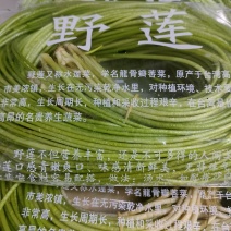 野菜