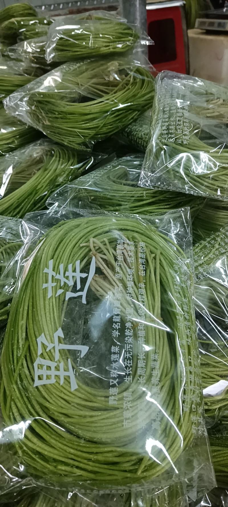 野莲菜