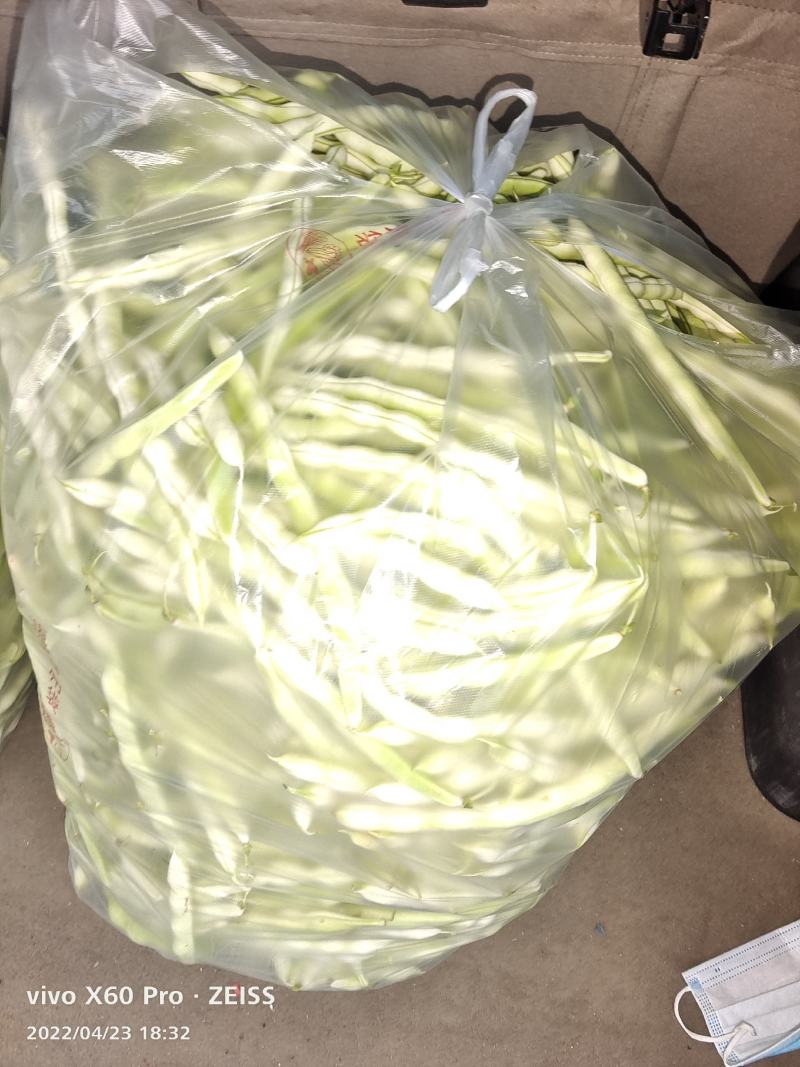 芸豆，西红柿，黄瓜，辣椒，龙椒