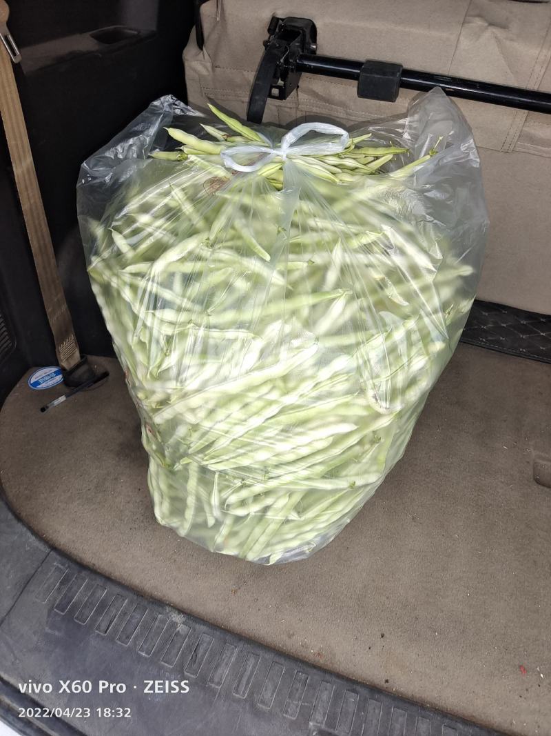 芸豆，西红柿，黄瓜，辣椒，龙椒