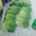大量现货，需要的老板联系