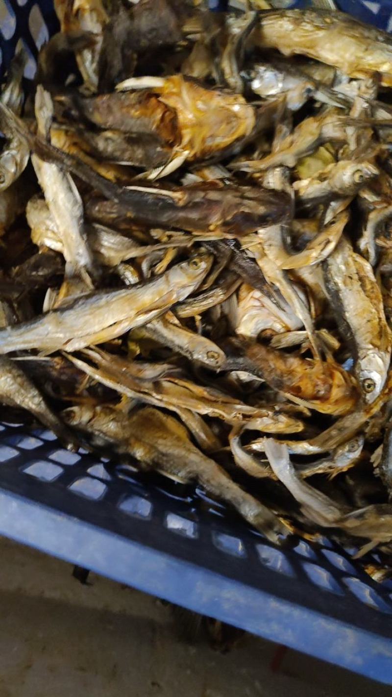 鱼干
