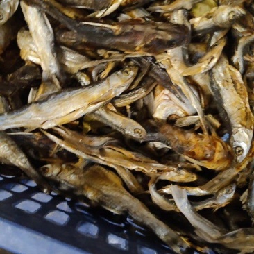 鱼干