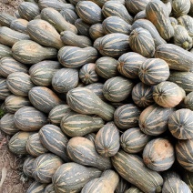 瓜果蔬菜，诚信代购代卖