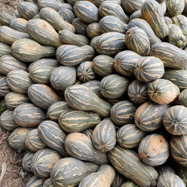 瓜果蔬菜，诚信代购代卖