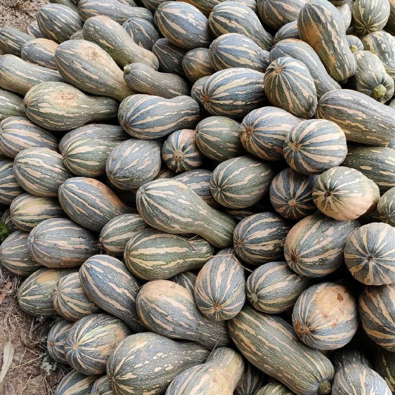瓜果蔬菜，诚信代购代卖