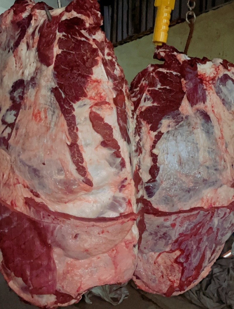 国产纯干多肉鲜牛排🥩煮、卤都是热销产品