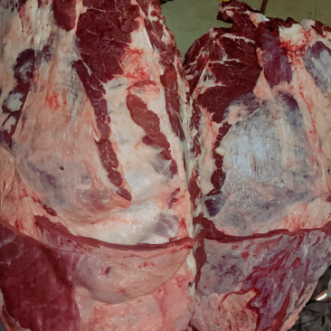 国产纯干多肉鲜牛排🥩煮、卤都是热销产品