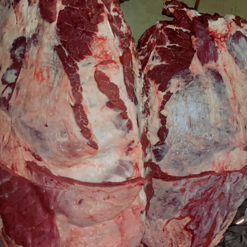 国产纯干多肉鲜牛排🥩煮、卤都是热销产品
