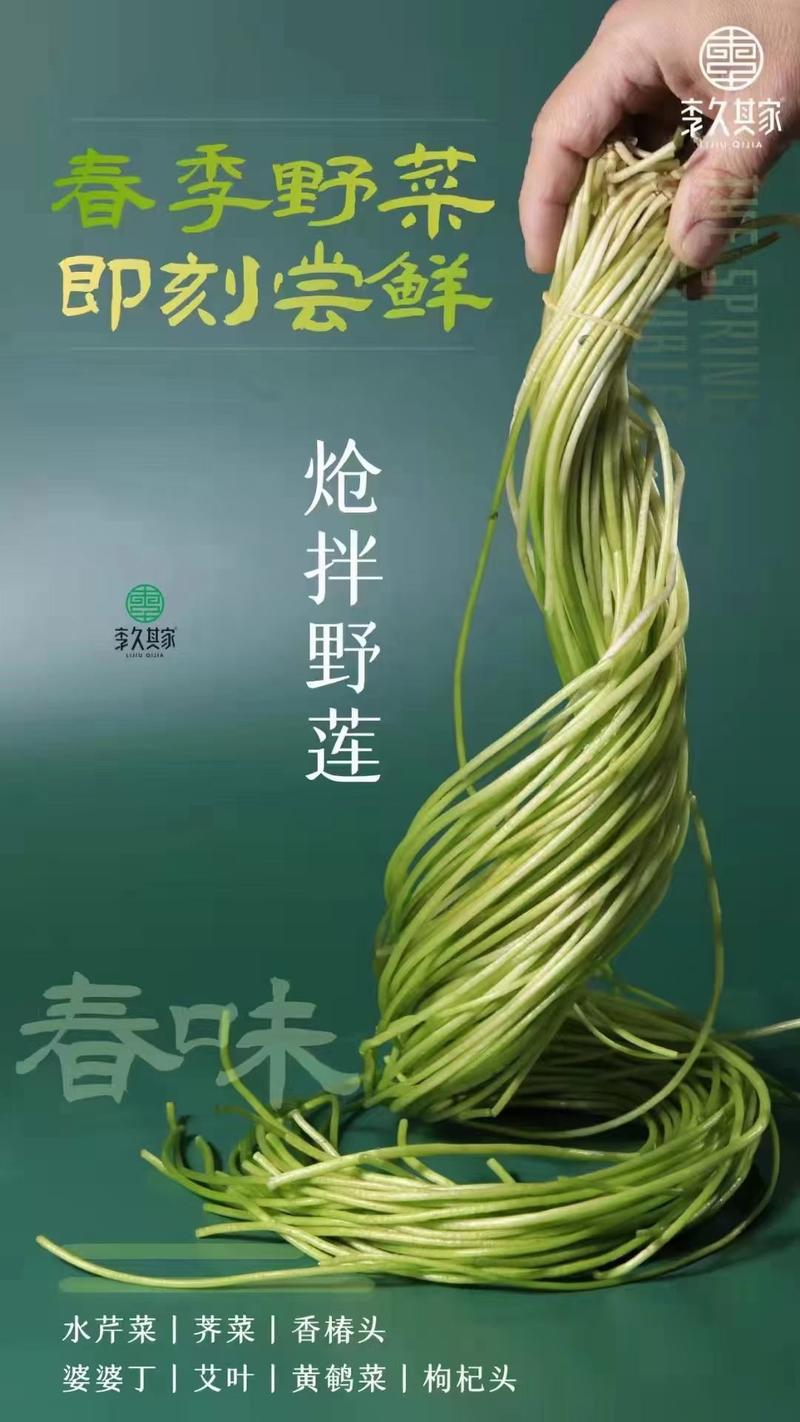 野莲精品养生菜--广东省包邮，1件起发，全国发货。
