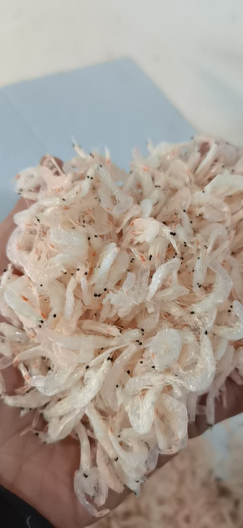 虾皮，大虾皮，淡干无盐虾皮，一手货源，批发价格，量大从优