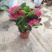 大绣球花苗老桩盆栽带花八仙花无尽夏花卉植物室内花庭院四季